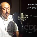 بیژن علی محمدی