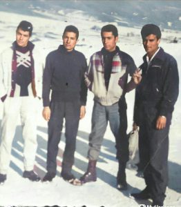 سیاوش مینویی