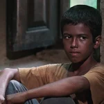 نقد باشو، غریبه‌ای کوچک